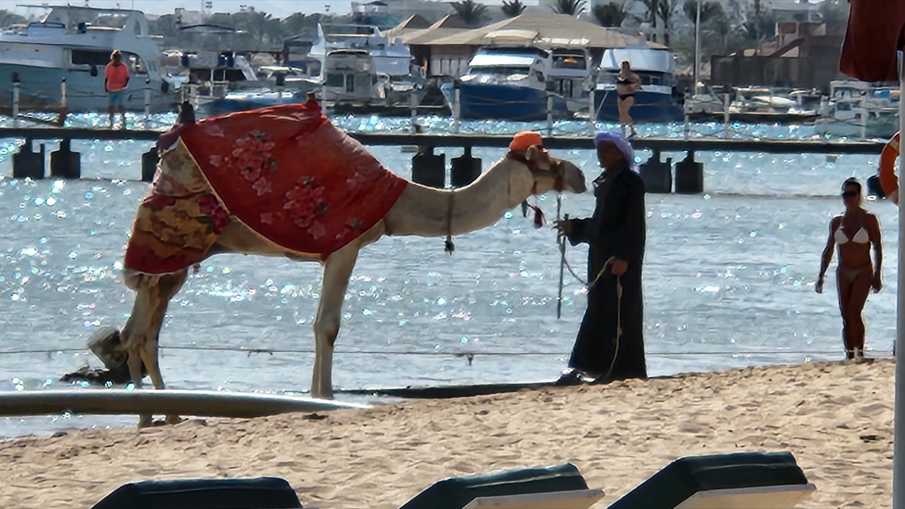 A camel led along the beach at Hurghada on the Red Sea